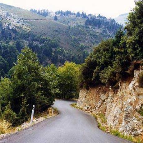 Εξοχικός δρόμος που οδηγεί στα βουνά της Σέτας, ΣΕΤΑ (Χωριό) ΧΑΛΚΙΔΑ