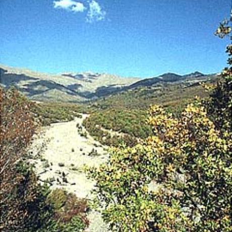 Grammos, flora, GRAMMOS (Mountain chain) MAKEDONIA WEST