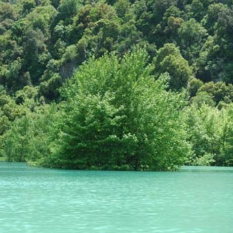 Acheloos, riparian vegetation , ACHELOOS (River) ETOLOAKARNANIA