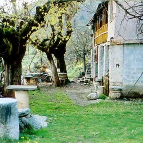 House yard with antiquities - Psophis, PSOFIS (Ancient city) ACHAIA