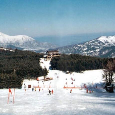 Lailias, a view of the slopes full of skiers, LAILIAS (Ski centre) SERRES