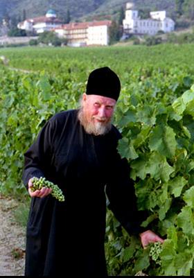 Agios Pavlos, a monk at the vineyards AGIOS PAVLOS (Village) HALKIDIKI