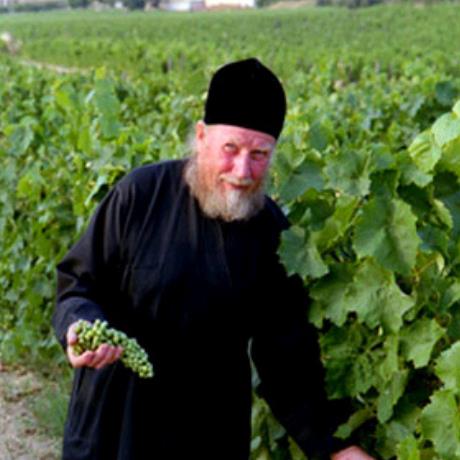 Agios Pavlos, a monk at the vineyards, AGIOS PAVLOS (Village) HALKIDIKI