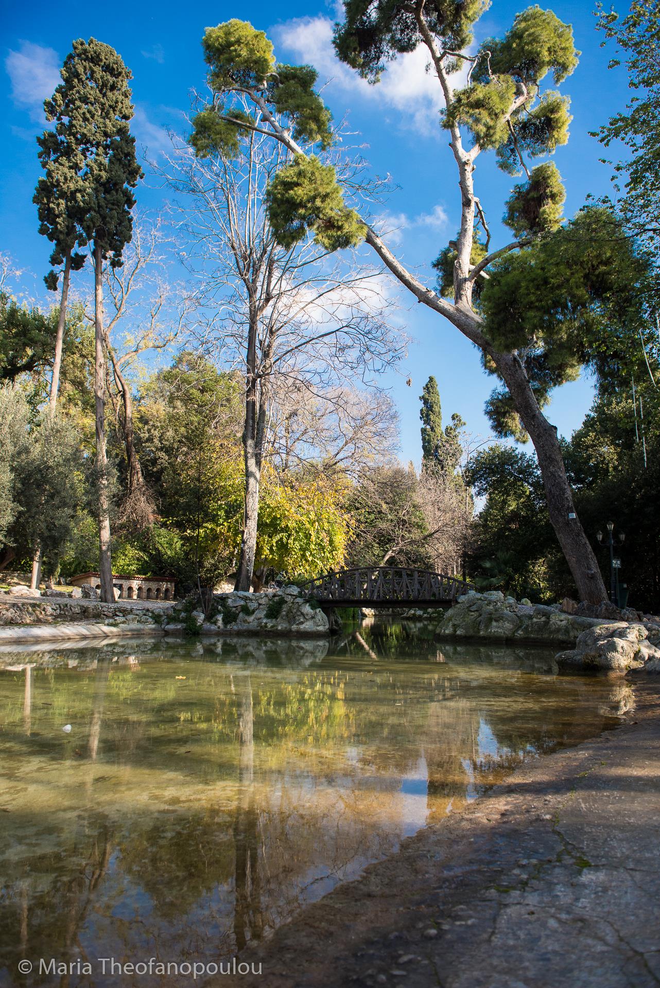 A small lake in National Gardens NATIONAL GARDENS (Park) ATHENS