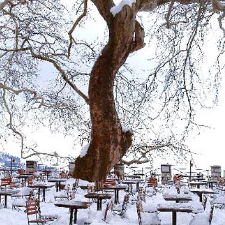 The square of Makrinitsa village covered by snow, MAKRINITSA (Village) VOLOS