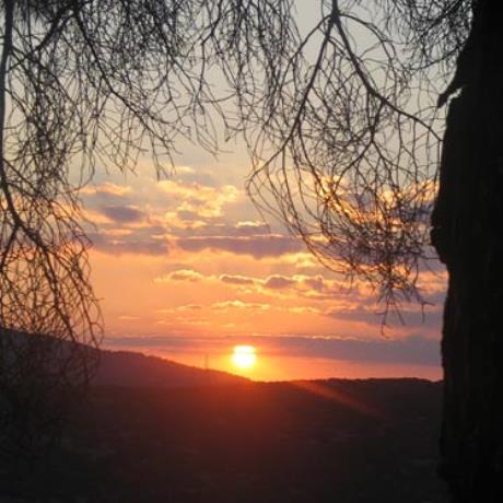 Sunset underneeth the pine tree, MANARIS (Village) VALTETSI