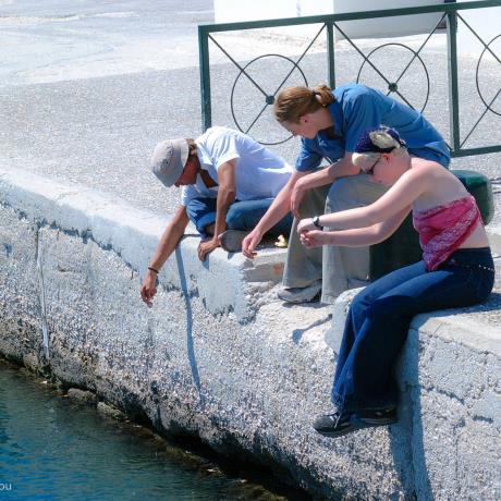 Fishing at the mole, IOS (Port) KYKLADES