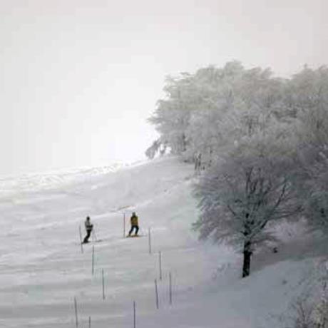 Vitsi, skiers at the snowy landscape, VITSI (Ski centre) KASTORIA