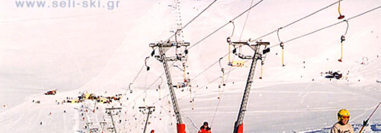 Skiers on the slope