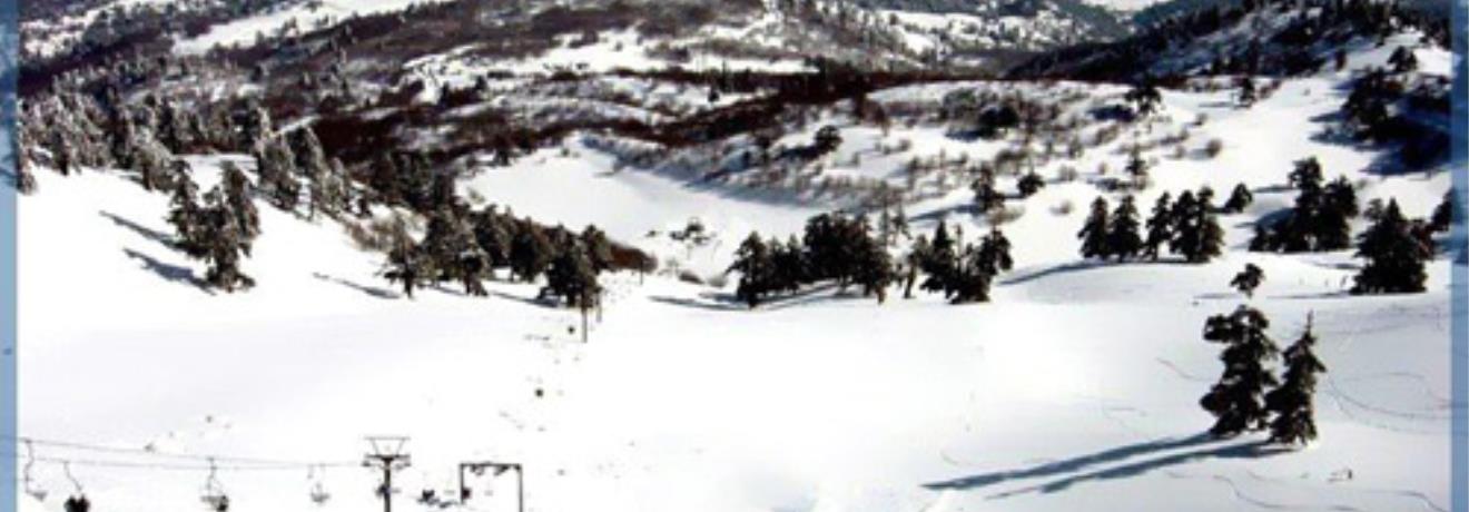 A panoramic view of a snowy slope