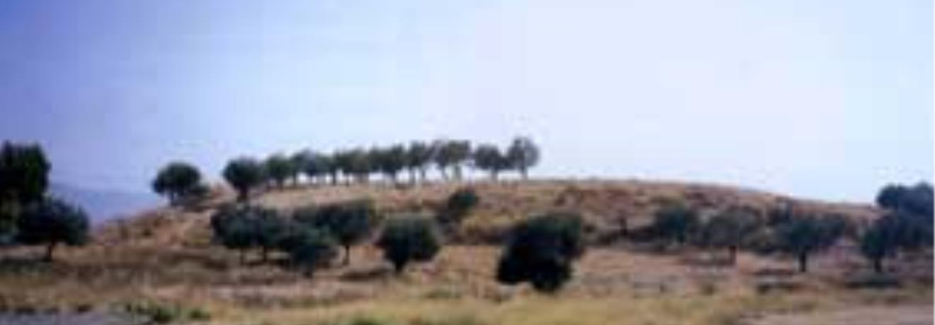 O λόφος της Ξηρόπολης όπου τοποθετείται ο αρχαιολογικός χώρος