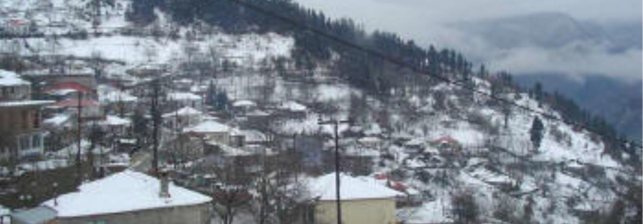 The village covered with snow