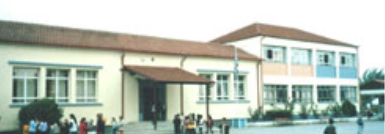 The Primary School