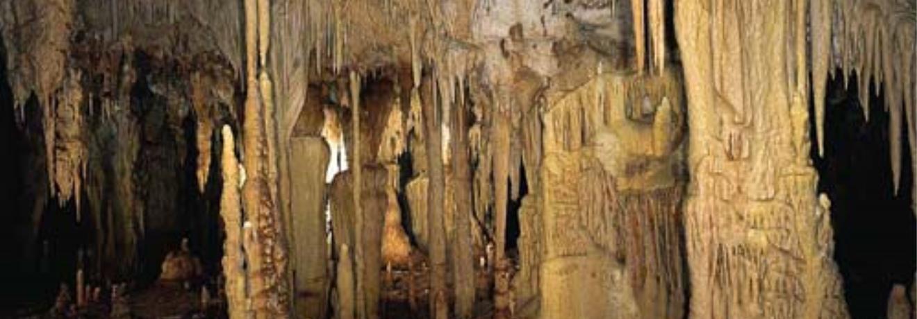 Σπήλαιο Αλιστράτης, το οικοσύστημα του σπηλαίου παρουσιάζει πολύ μεγάλο βιολογικό ενδιαφέρον, λόγω του μεγέθους του & του εντυπωσιακού αριθμού νυχτερίδων που φιλοξενεί