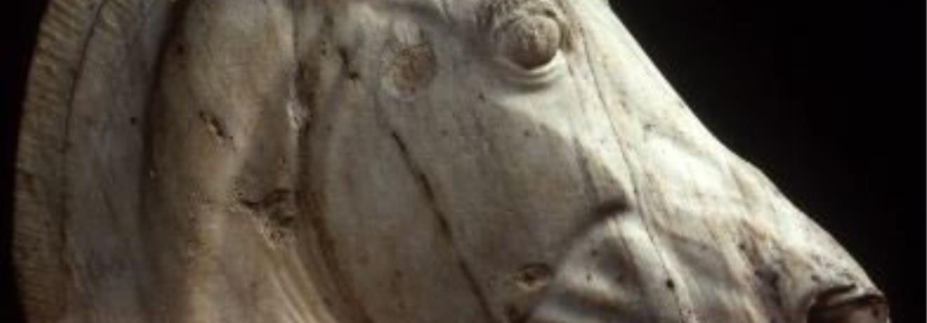 Γλυπτά Παρθενώνα: άλογο από το άρμα της Σελήνης