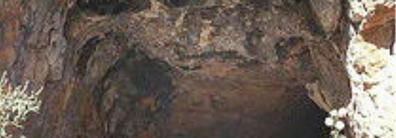 Ένας τάφος στην Κοιλάδα των Νεκρών στην Ζάκρο
