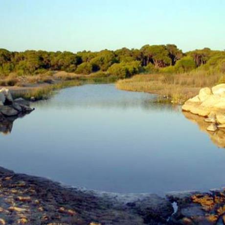 Το δάσος της Στροφυλιάς, ΚΑΛΟΓΡΙΑ (Οικισμός) ΠΑΤΡΑ
