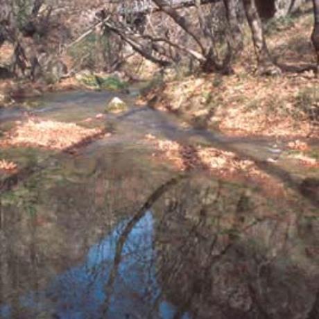 Διακοπτό, ταξιδεύοντας με τον οδοντωτό, ΔΙΑΚΟΠΤΟ (Κωμόπολη) ΑΙΓΙΑΛΕΙΑ