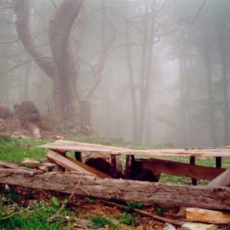 Ζαγορά, δάσος, ΖΑΓΟΡΑ (Κωμόπολη) ΜΑΓΝΗΣΙΑ