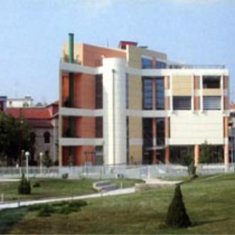Καρδίτσα, η Δημοτική Πινακοθήκη, ΚΑΡΔΙΤΣΑ (Πόλη) ΘΕΣΣΑΛΙΑ