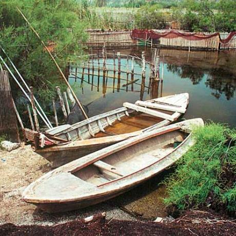 Καλογριά, άποψη της λίμνης Προκόπου που εκτείνεται σε μήκος 15 χλμ., ΚΑΛΟΓΡΙΑ (Οικισμός) ΠΑΤΡΑ