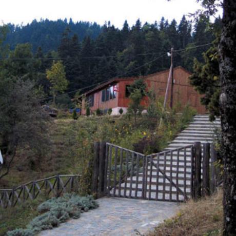Itamos, the forestal village Dryades, ITAMOS (Municipality) KARDITSA