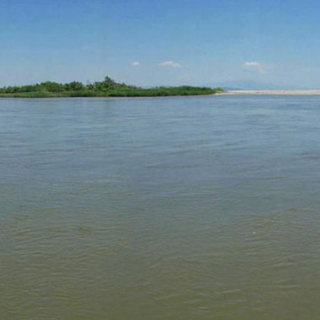Nestos - you may see herons, cormorants & flamingos, NESTOS (River) GREECE