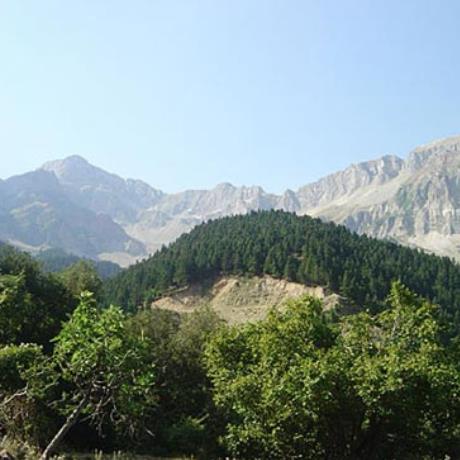 Melissourgi, landscape, MELISSOURGI (Small town) ARTA