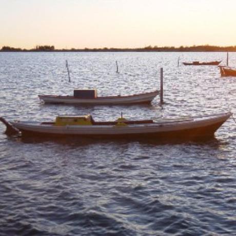 The Messolongi lagoon, MESSOLONGI LAGOON (Lagoon) ETOLOAKARNANIA
