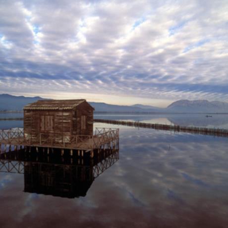 Messolongi, Kleisova - Ivari, MESSOLONGI LAGOON (Lagoon) ETOLOAKARNANIA