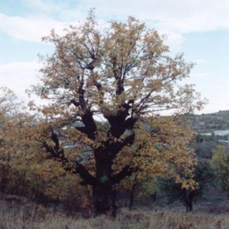 Εκκλησιά, άποψη του οικισμού, ΕΚΚΛΗΣΙΑ (Οικισμός) ΓΡΕΒΕΝΑ