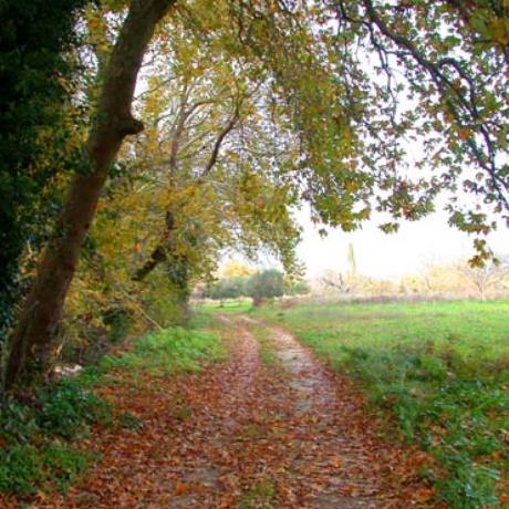 Autumn setting (Agia Irini), AGIA IRINI (Village) KEFALLONIA