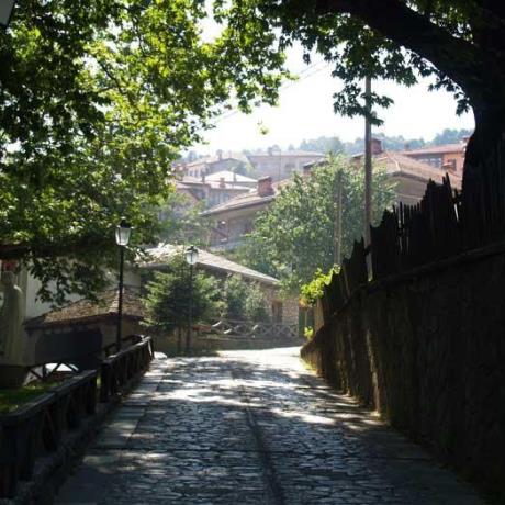 Σκιερό δρομάκι στο Μέτσοβο, ΜΕΤΣΟΒΟ (Κωμόπολη) ΙΩΑΝΝΙΝΑ