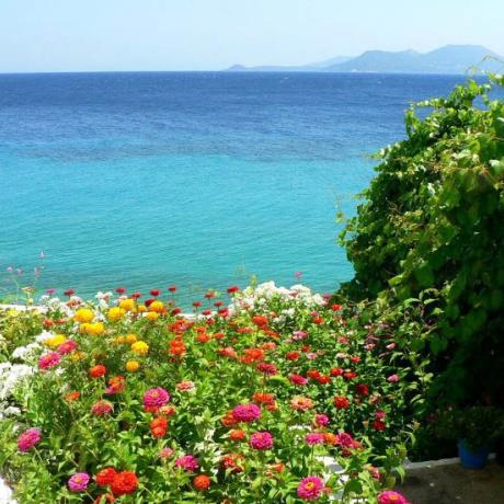 Avlakia, Samos, AVLAKIA (Settlement) VATHY