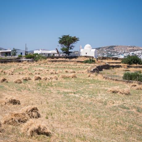 Εξάμπελα, ΕΞΑΜΠΕΛΑ (Οικισμός) ΣΙΦΝΟΣ