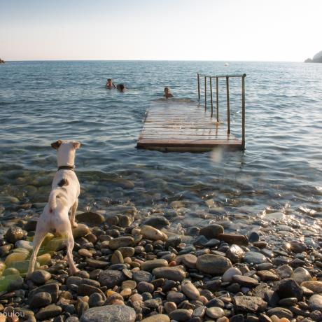 Παραλία Βρουλίδια, ΒΡΟΥΛΙΔΙΑ (Παραλία) ΣΙΦΝΟΣ