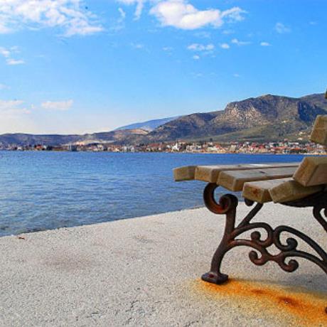 Ο όρμος της Αγριάς, ΑΓΡΙΑ (Κωμόπολη) ΒΟΛΟΣ