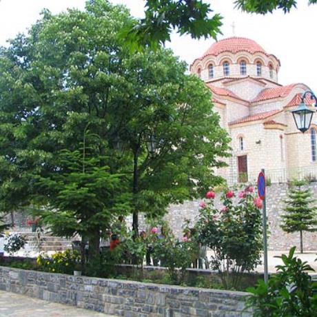 Η όμορφη φλαμουριά στην πλατεία των Καρυών, ΚΑΡΥΕΣ (Χωριό) ΛΑΚΕΔΑΙΜΟΝΑ