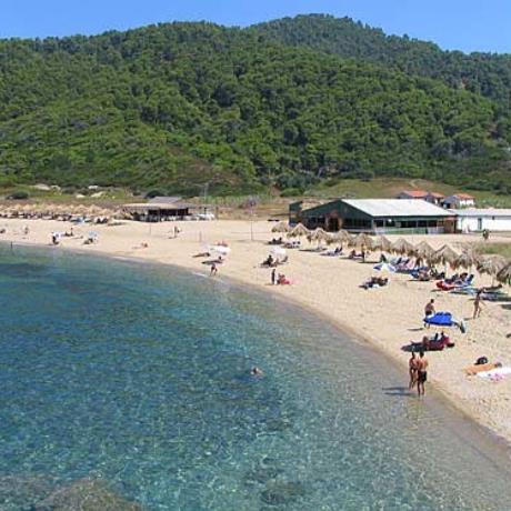 Θέα στην παραλία, ΑΣΕΛΙΝΟΣ (Παραλία) ΣΚΙΑΘΟΣ