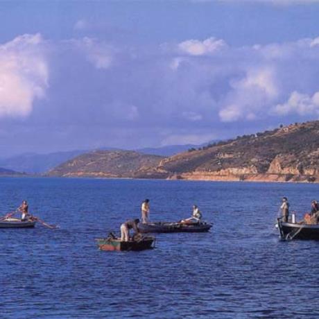 Amphilochia at the end of the Amvrakian Gulf , AMFILOCHIA (Town) ETOLOAKARNANIA