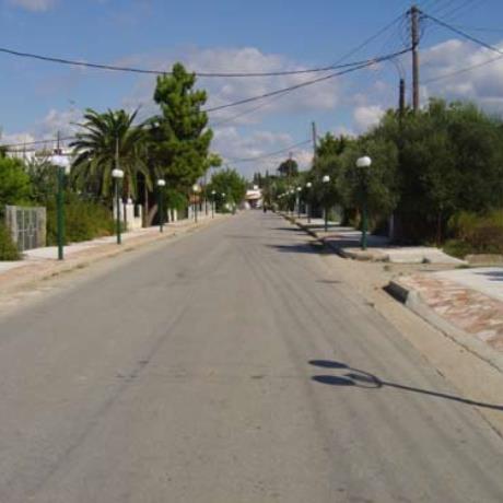 Agios Dimitrios Amaliadas, entrance, AGIOS DIMITRIOS (Village) AMALIADA