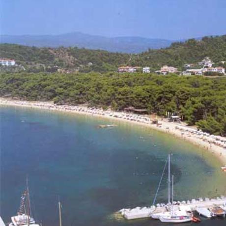 Κουκουναριές, ΚΟΥΚΟΥΝΑΡΙΕΣ (Παραλία) ΣΚΙΑΘΟΣ
