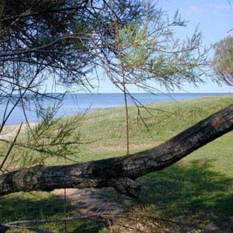 Αλεξανδρούπολη, ΑΛΕΞΑΝΔΡΟΥΠΟΛΗ (Πόλη) ΕΒΡΟΣ