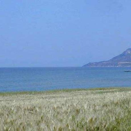Αγία Παρασκευή, ΕΒΡΟΣ (Νομός) ΕΛΛΑΔΑ