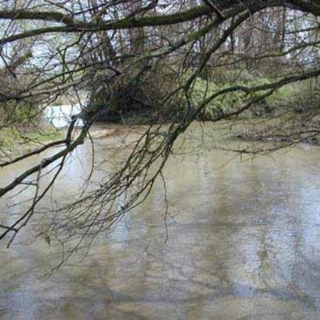 Estuary of Nestos, NESTOS (River) GREECE