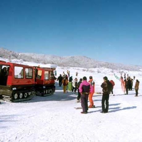 Profitis Ilias, a snow skid, PROFITIS ILIAS (Ski centre) METSOVO