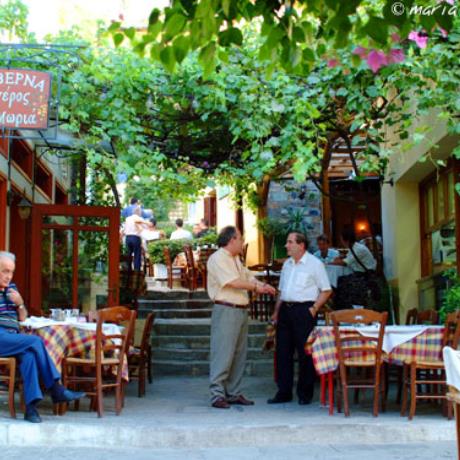 Tavern, PLAKA (City quarter) ATHENS