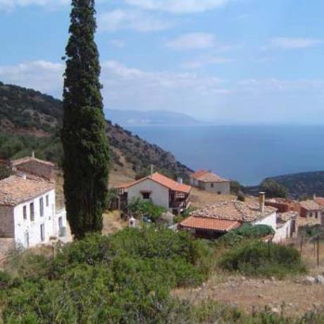 Agios Nikolaos, the first impression as you enter the settlement, AGIOS NIKOLAOS (Settlement) PARNASSOS