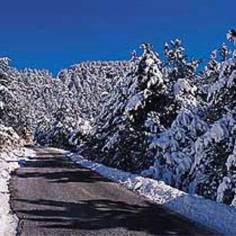 Falakro, road access to the ski centre, FALAKRO (Ski centre) DRAMA