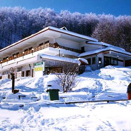3-5 Pigadia, the hotel of the ski centre, 3-5 PIGADIA (Ski centre) NAOUSSA